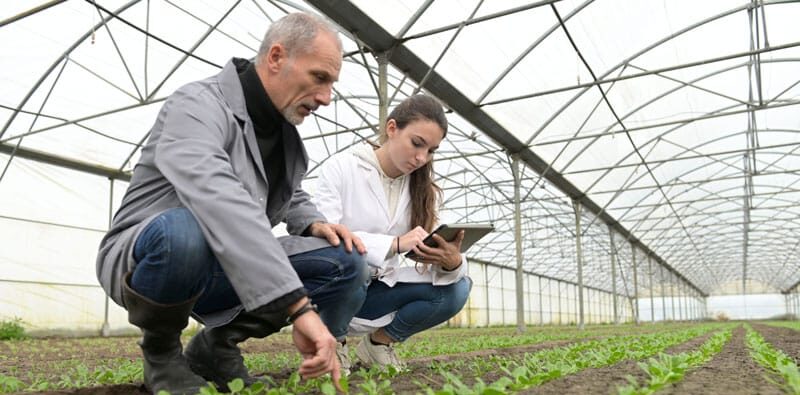 Interdisciplinary Agriculture Concentration