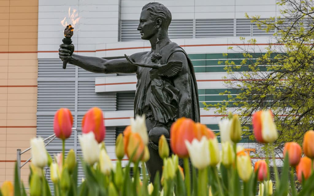 Tennessee's torch bearer behind orange and white tulips