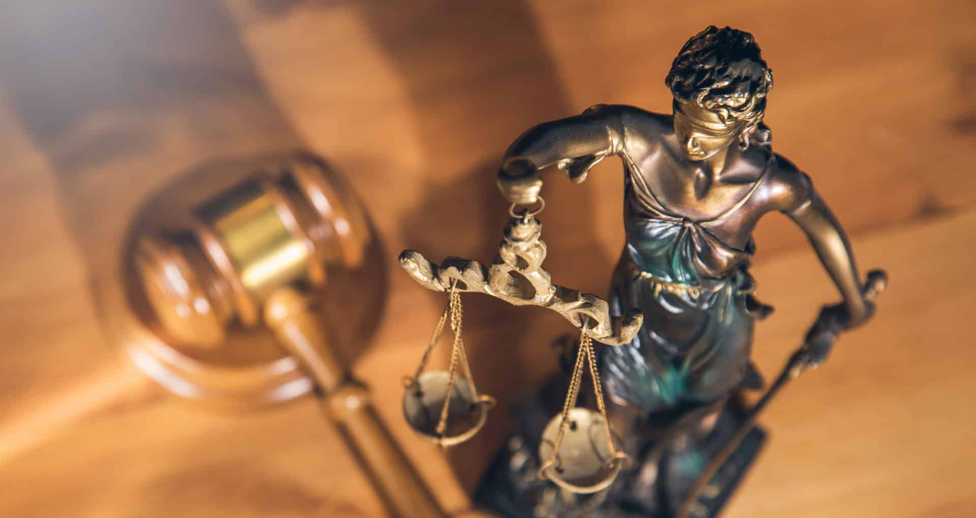 Image for Criminology and Criminal Justice